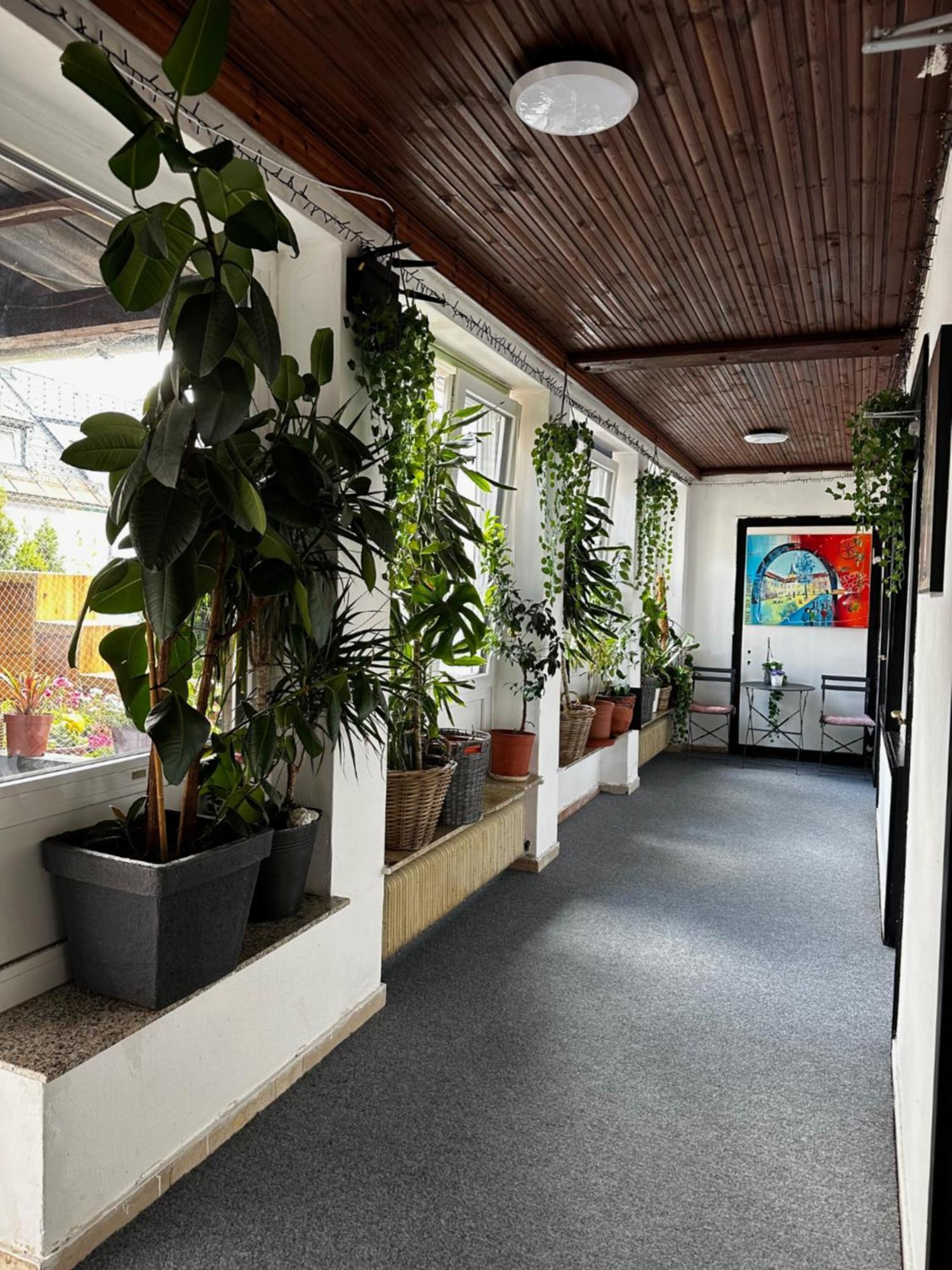 Hostel Lovely Rooms, City Center, Shared Bathroom, Windows To Corridor フィラハ エクステリア 写真
